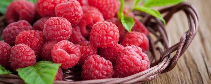 Pick your own berries Nelson