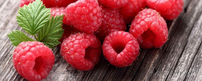 pyo berry picking nelson