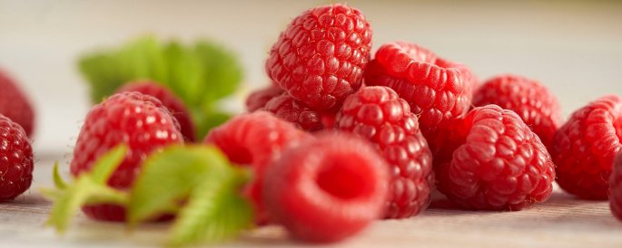 pick your own raspberries Nelson